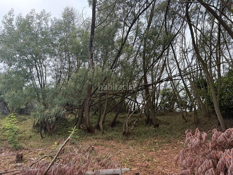 Foto cbaceffd-bff3-4f6b-986d-d7f84fb3ed0c. Casa in A Malata - Catabois - Ciudad Jardín Ferrol