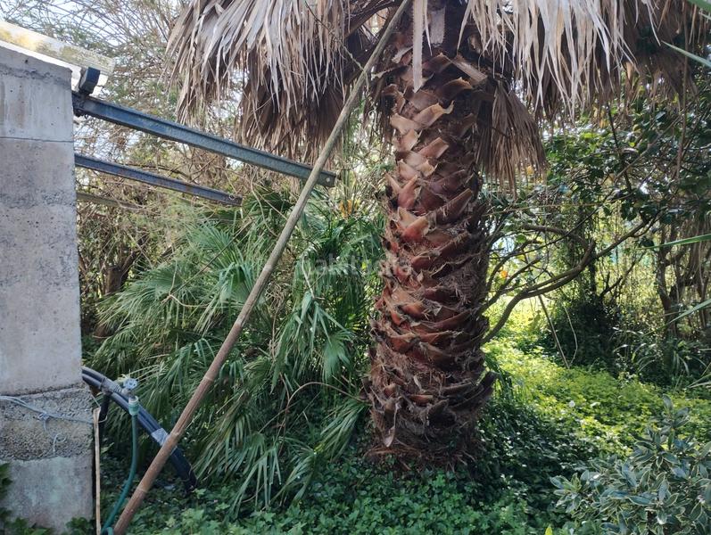 Foto 1d5f4e6e-4e73-44f3-8f4d-b4dcddbe41f2. Casa amb aparcament a A Malata - Catabois - Ciudad Jardín Ferrol