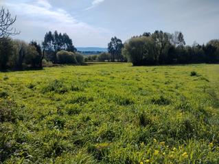 Terreno residenziale in A Malata - Catabois - Ciudad Jardín. Se vende terreno edificable en o binculeiro (ferrol)