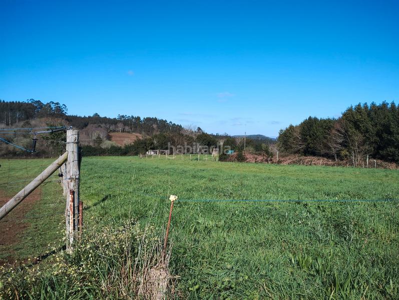 Foto 6b729c9e-a1cf-40fa-9128-388073e0c6e1. Terreny residencial a Moeche