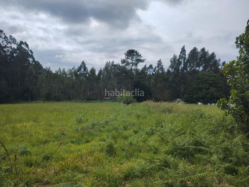 Foto 65fcae93-cfd1-4b9d-b8b0-f677615efbaf. Propriété dans Neda