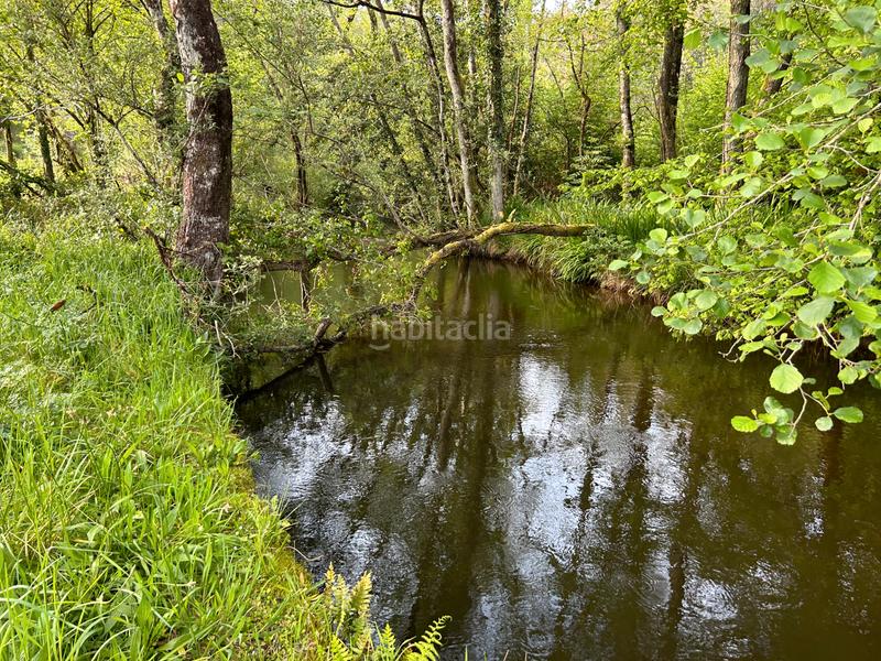 Foto 673b4a7b-a98e-459e-bd57-1ce4e02c8629. Haus in Cedeira