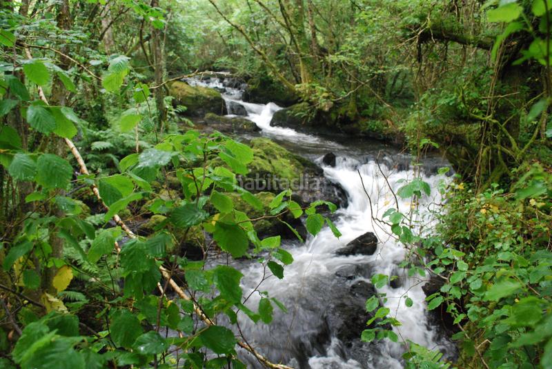 Foto 6deb4e95-0667-4768-bc5c-c636ed19cfcd. Haus in Cedeira