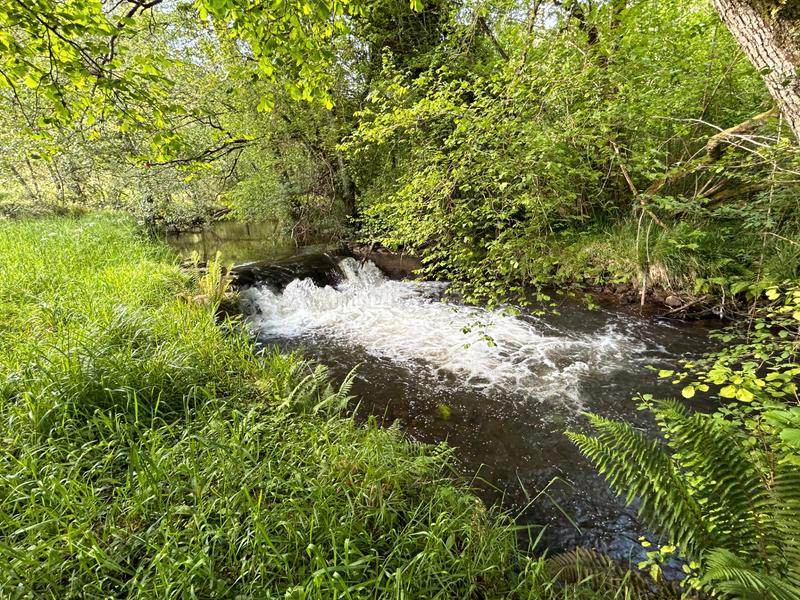 Foto 127c7644-0e15-47b3-9189-127275ed7261. Maison dans Cedeira