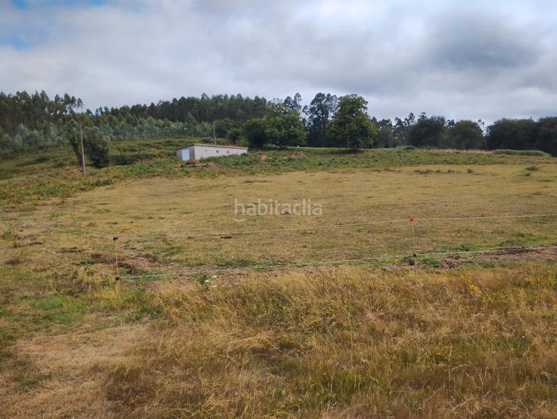 Foto 291bd83a-5f1c-4d70-ac58-bac611a446b4. Terreny residencial a Neda