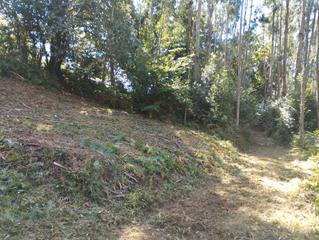 Finca rústica en Neda. Se vende terreno rústico de 300 m2 con acceso en anca