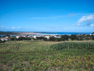 Residential Plot in Valdoviño