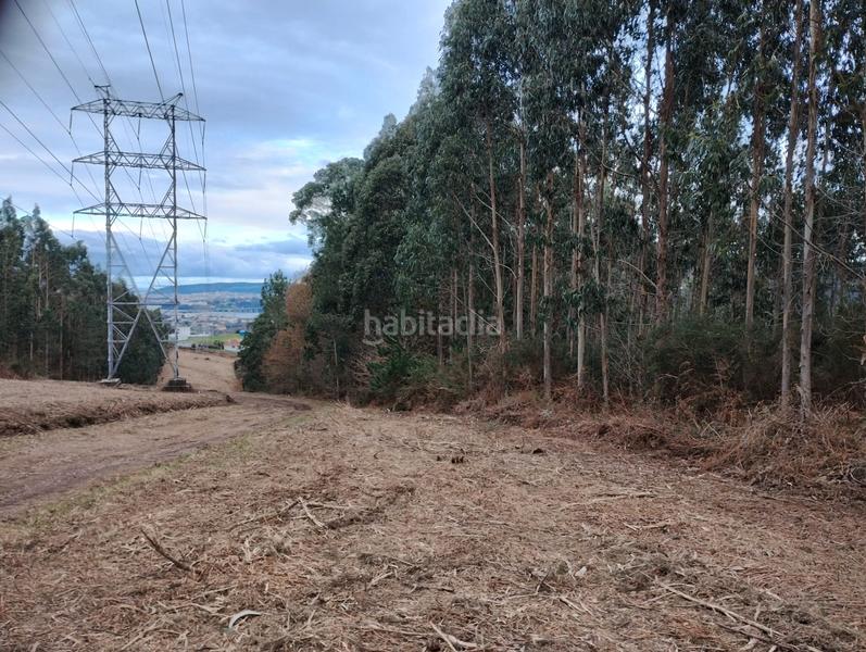 Foto 08275f74-bdbe-48e9-8fae-ae4825da1019. Finca rústica en Neda