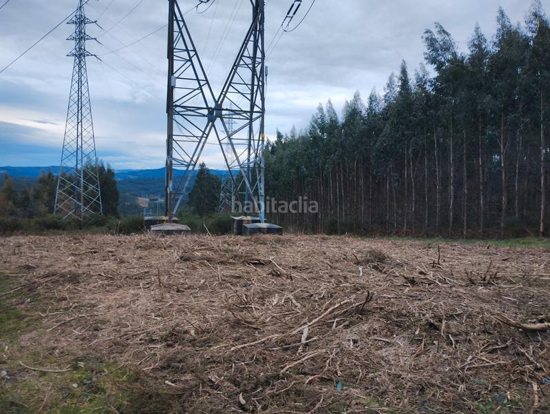 Foto 32508fbf-c3fc-4cfe-89be-2e0ba4fb7a6e. Finca rústica en Neda