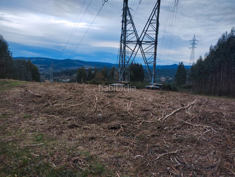 Foto bc0b6f6b-9789-4e67-99d9-7fa728dfacae. Finca rústica en Neda