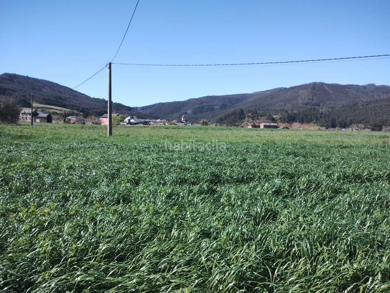 Foto 9e83d2e1-55f2-49fb-9a84-e3b8f6df4bf7. Casa a Lourenzá