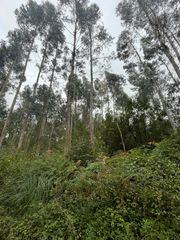 Fondo rustico in Valdoviño