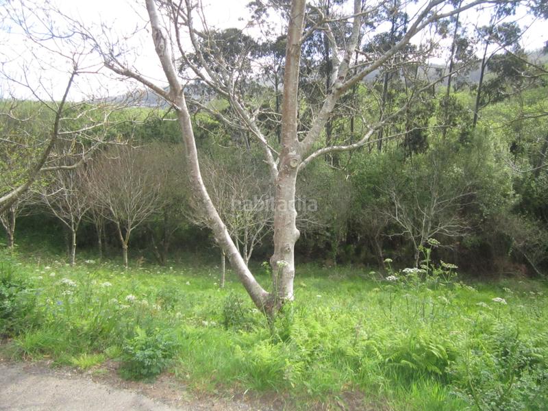 Foto 1c5c343e-9a81-46e6-afae-ef41af063c90. Finca rústica en Valdoviño