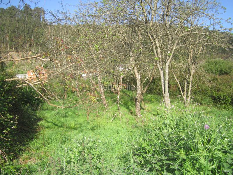 Foto 5d96ce3f-b9e1-46df-9284-16bcd4f5c886. Finca rústica en Valdoviño