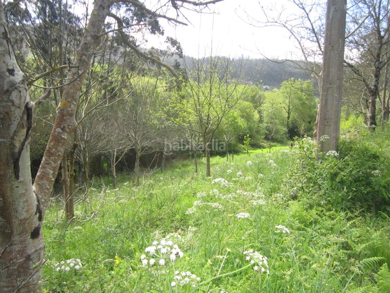Foto b8f4a8ca-32c9-4ac7-9c63-78cf8e24b354. Finca rústica en Valdoviño