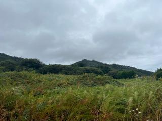 Fondo rustico in Área Rural