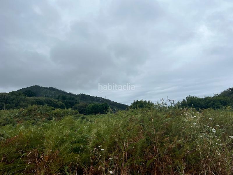 Foto 00edaaeb-980a-47b3-a6e6-55935bc97d76. Finca rústica en Área Rural Ferrol