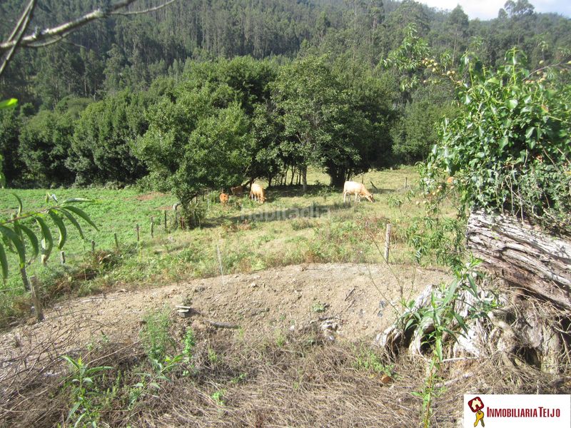 Foto f4c51cdd-0f9a-49f5-9a06-e9841d21761c. Casa amb aparcament a Cerdido