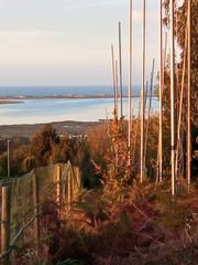 Terreno residenziale in Valdoviño