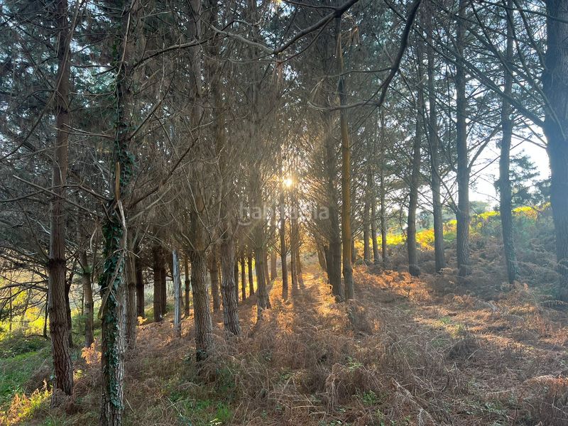 Foto 24bc65c3-e6d5-48e3-86ed-c09a57908b17. Finca rústica en Sedes - Pedroso - Doso Narón