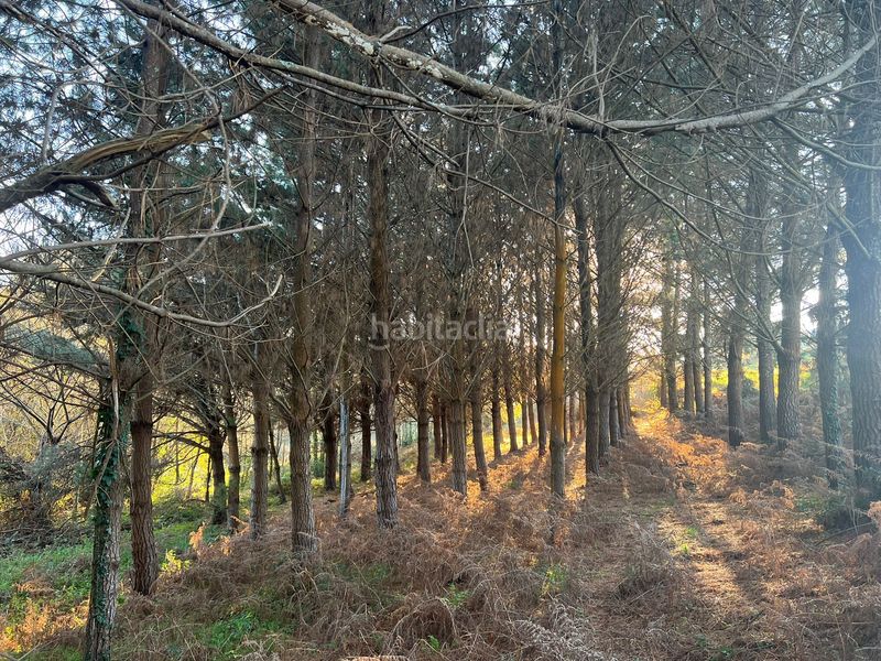 Foto 2b910b60-0608-415c-b11f-3a9e8c068b6a. Finca rústica en Sedes - Pedroso - Doso Narón