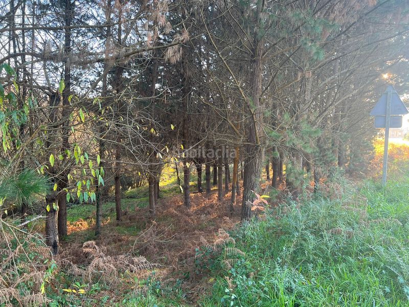 Foto 6262bbeb-72bd-46a2-8d16-437b48d8eba6. Finca rústica en Sedes - Pedroso - Doso Narón