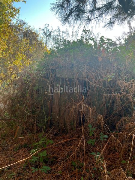 Foto 8b8be872-7b3c-4715-af8b-5061c1a51ff7. Finca rústica en Sedes - Pedroso - Doso Narón