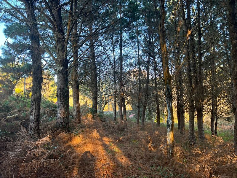 Foto a06b17d9-fc70-4356-be7b-68b040abb833. Finca rústica en Sedes - Pedroso - Doso Narón