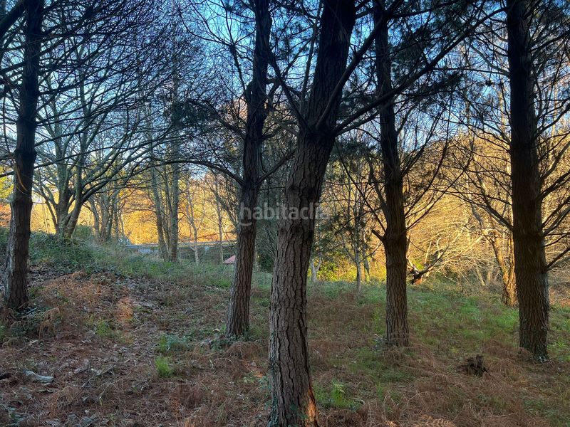 Foto ba0d438d-2f0d-4d45-8603-7c5c07e9917d. Finca rústica en Sedes - Pedroso - Doso Narón