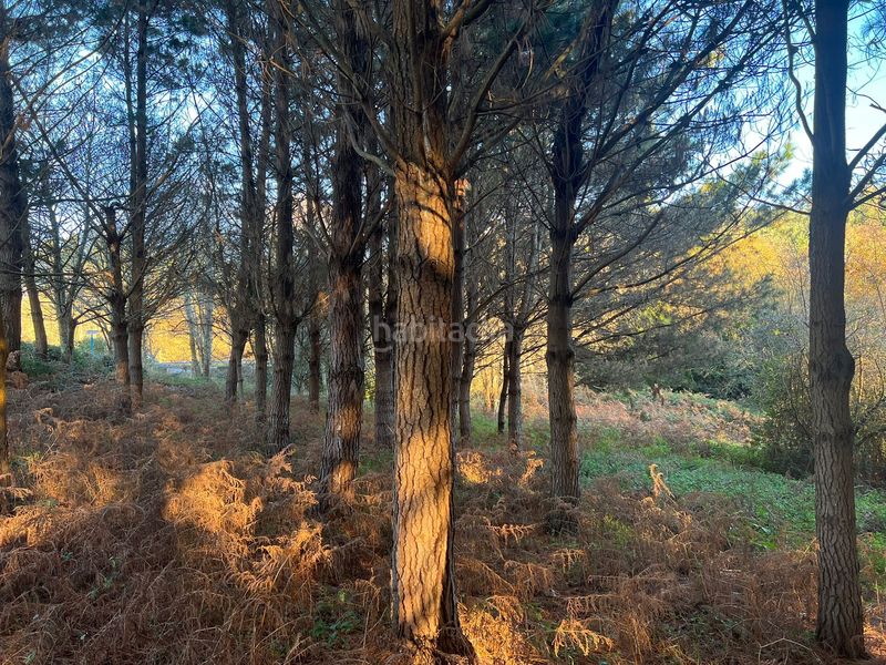 Foto d0d59a90-c285-434e-90af-2adf798beb4e. Finca rústica en Sedes - Pedroso - Doso Narón