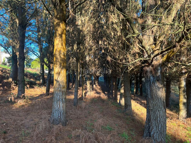 Foto e85d9e39-30b5-468b-a090-4df49f8c8bc9. Finca rústica en Sedes - Pedroso - Doso Narón