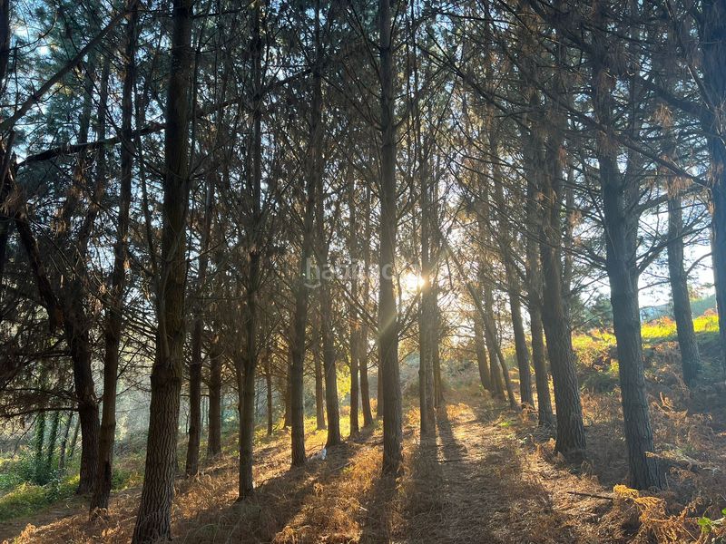 Foto f4b41265-3350-45cb-88e0-93ceec816edf. Finca rústica en Sedes - Pedroso - Doso Narón