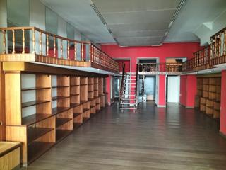 Business premise in Centro
