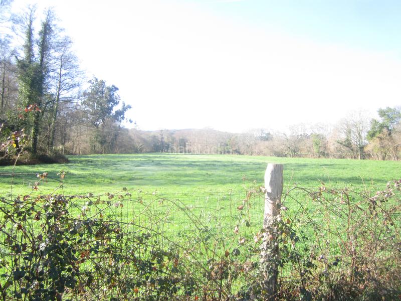 Foto 1203bf6b-5368-4291-9481-404ebc907562. Haus mit parking in San Sadurniño