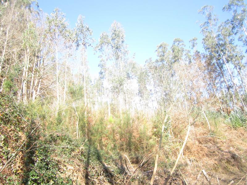 Foto 66333699-8309-491d-8b8c-23fdcf75f8b1. Haus mit parking in San Sadurniño