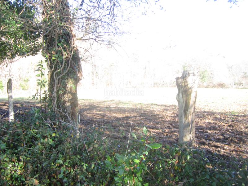 Foto 744490ab-0c7d-452c-bde1-d2e1af5e35dd. Haus mit parking in San Sadurniño