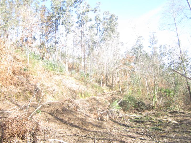 Foto fdd7e373-7f87-4bbf-b5f5-7eab4460f4e7. Haus mit parking in San Sadurniño