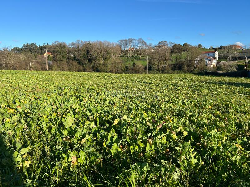 Foto 4bb40610-e8c1-48b2-92e3-4ec4e91e1aa4. Residential plot in San Mateo - Castro - O Val Narón