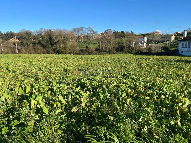 Foto f004824e-a31f-464d-a843-27b038372828. Terrain résidentiel dans San Mateo - Castro - O Val Narón
