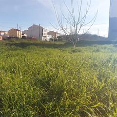 Terreny residencial a Piñeiros - Freixeiro