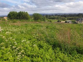 Residential Plot in Área Rural