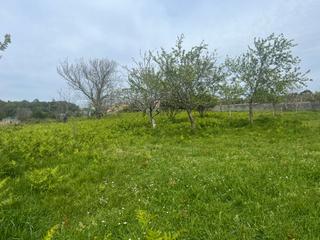 Finca rústica a A Malata - Catabois - Ciudad Jardín