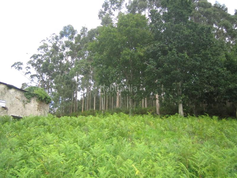 Foto 5b11e640-676f-4f8d-90d0-c01add6d7b58. Casa se vende casa en Neda