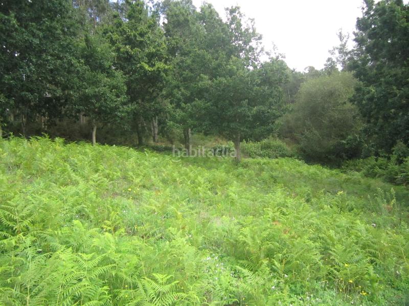 Foto b3d31069-7a64-4958-9014-2d7dc1c3bf8f. Casa se vende casa en Neda