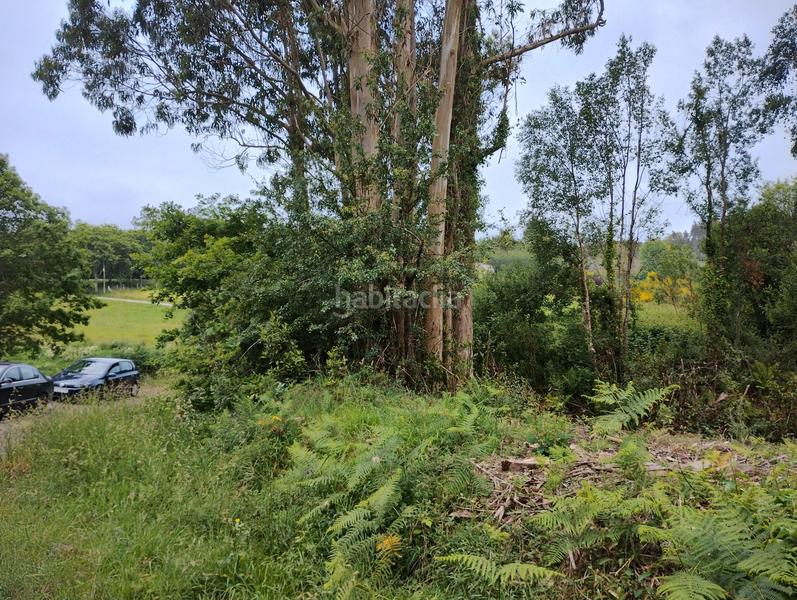 Foto 2f02494d-5018-439a-bbc0-0076f18c5b1e. Landgut in Moeche