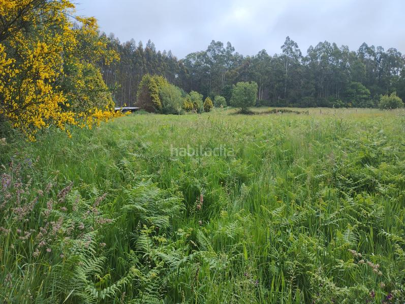 Foto 433f2bcd-16f8-4e4c-af6d-e6c861687484. Landgut in Moeche