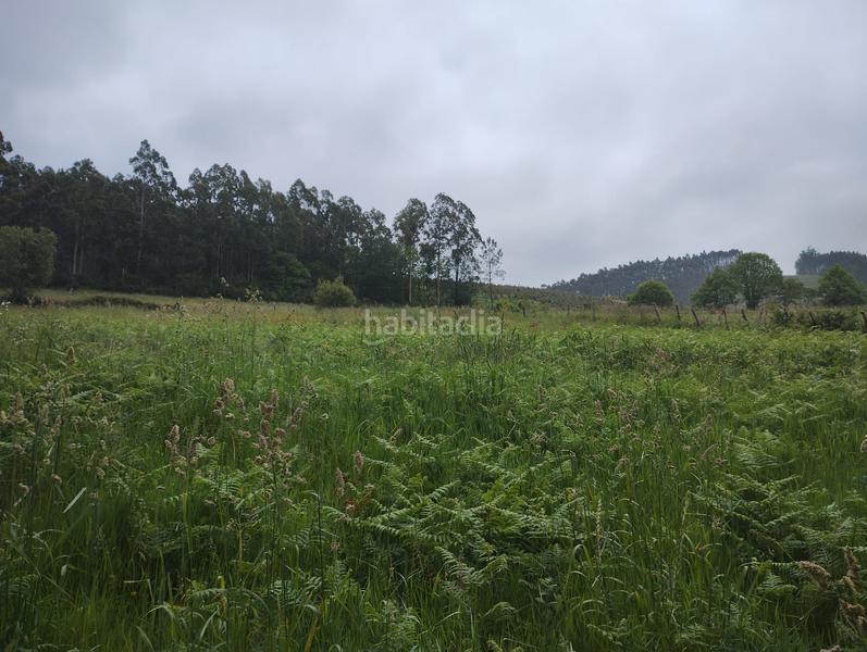 Foto 6e0737f6-8615-4460-9fcf-1aca9617ce69. Landgut in Moeche