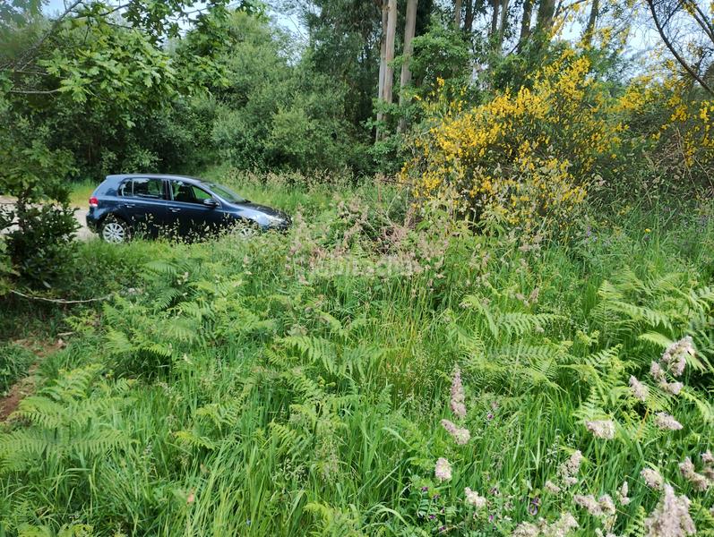 Foto 71143e25-a2ad-4cfc-9579-429dee68ca08. Landgut in Moeche