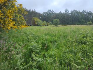 Rural plot in Moeche
