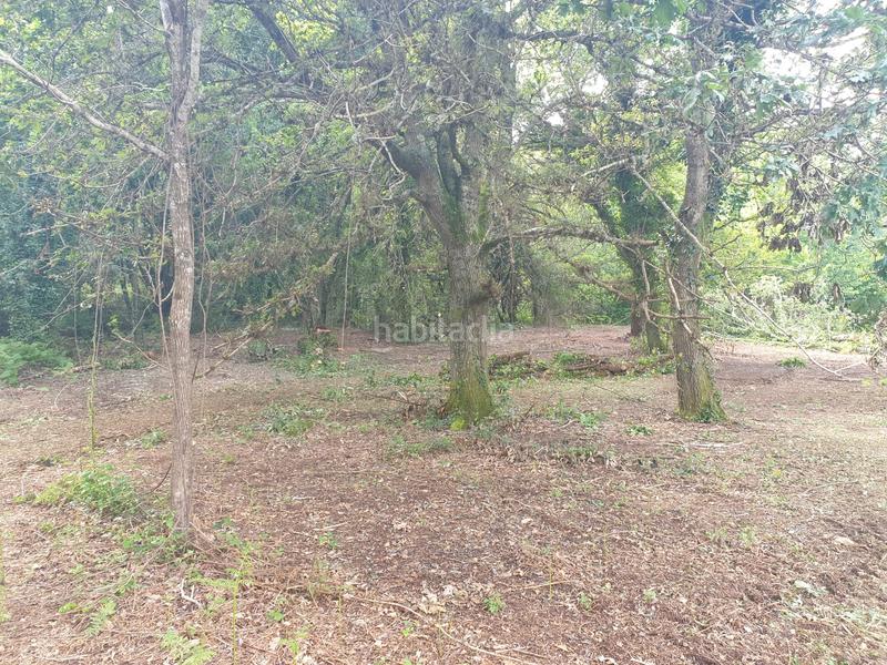 Foto 1796a1c0-ed87-4330-9498-69ccb1c3db4f. Finca rústica se venden dos fincas rústicas en Mugardos